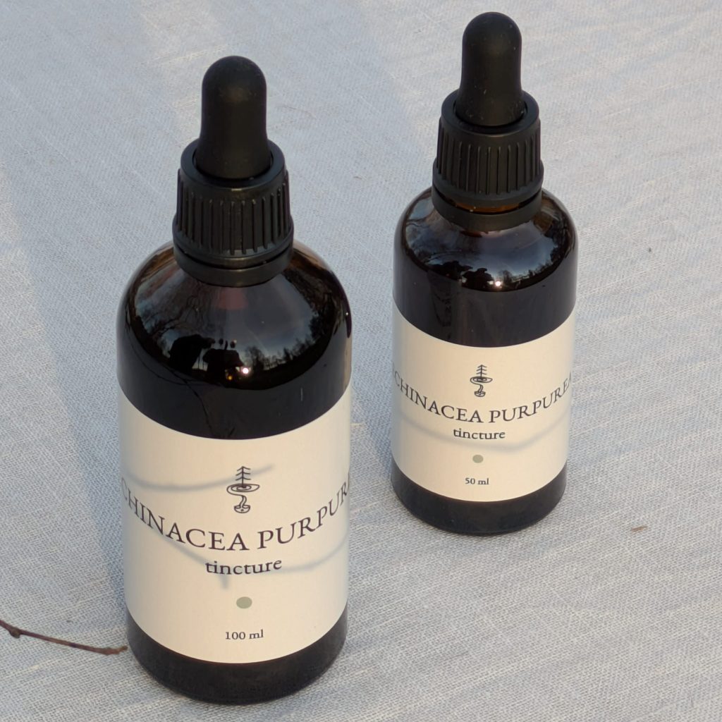 Ehinacea purpurea tincture
