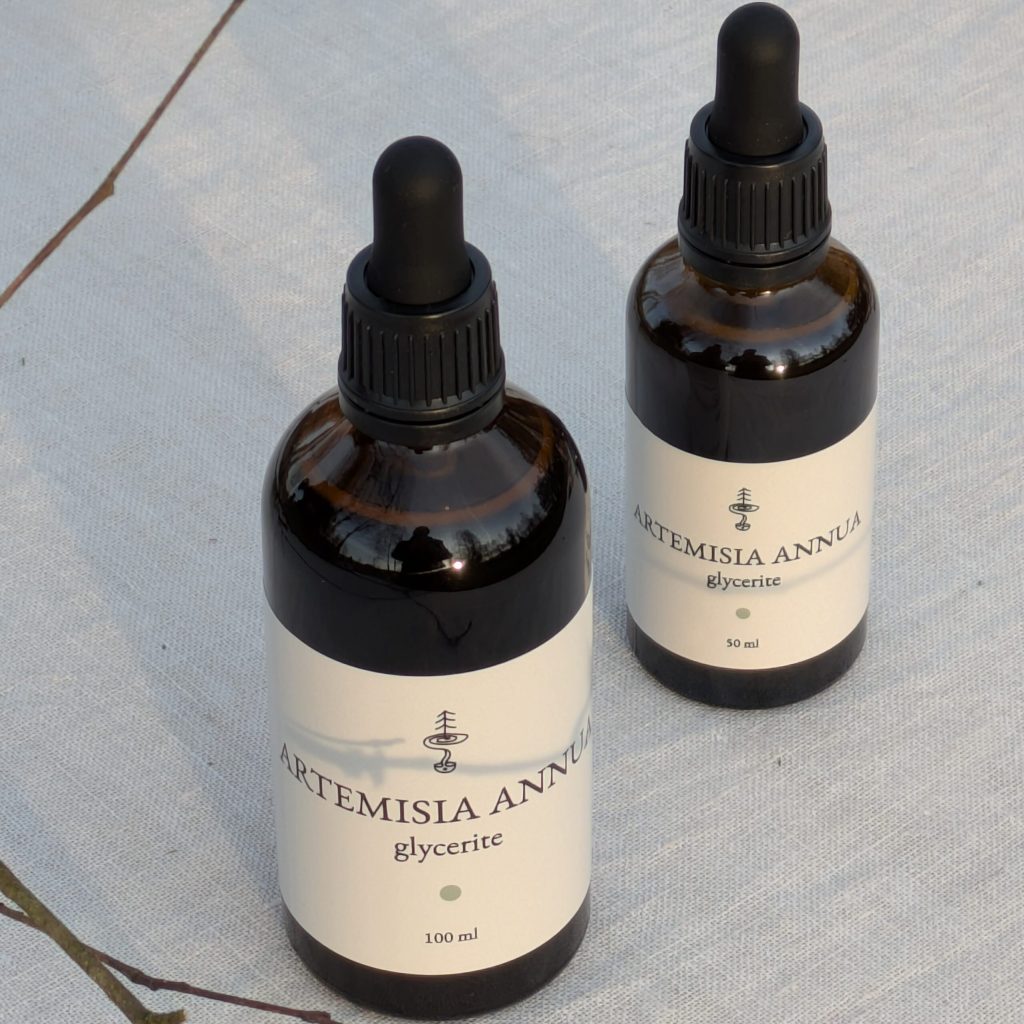 artemisia glycerite