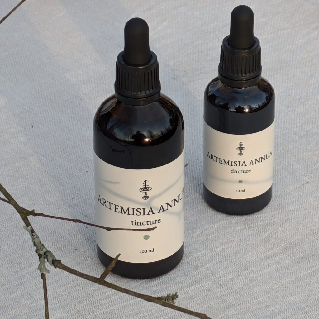 artemisia tincrture